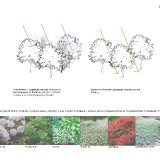 230194_ALBOM_STRANITA_48