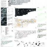 314395_COPII_STRANITA_2