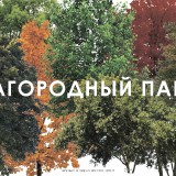 471102_ALBOM_STRANITA_12